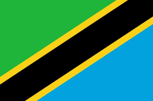 Tanzania's flag